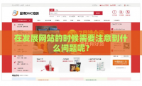 在发展网站的时候需要注意到什么问题呢？