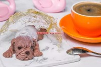 9999朵玫瑰？看看这位大佬在七夕干了什么！