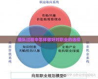 组队过程中怎样做好对职业的选择