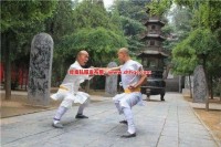 修身养性就能赢？这个传奇私服教你逆袭成大佬！