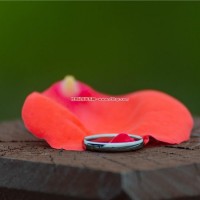 1.76结婚系统藏彩蛋？单身玩家居然能这样领戒指！