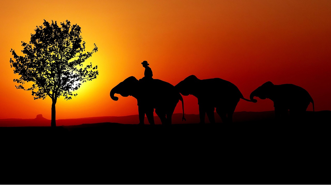 晚上玩游戏对我们的身心有很多的好处