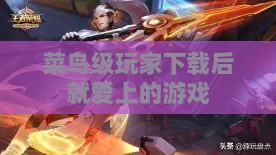 菜鸟级玩家下载后就爱上的游戏