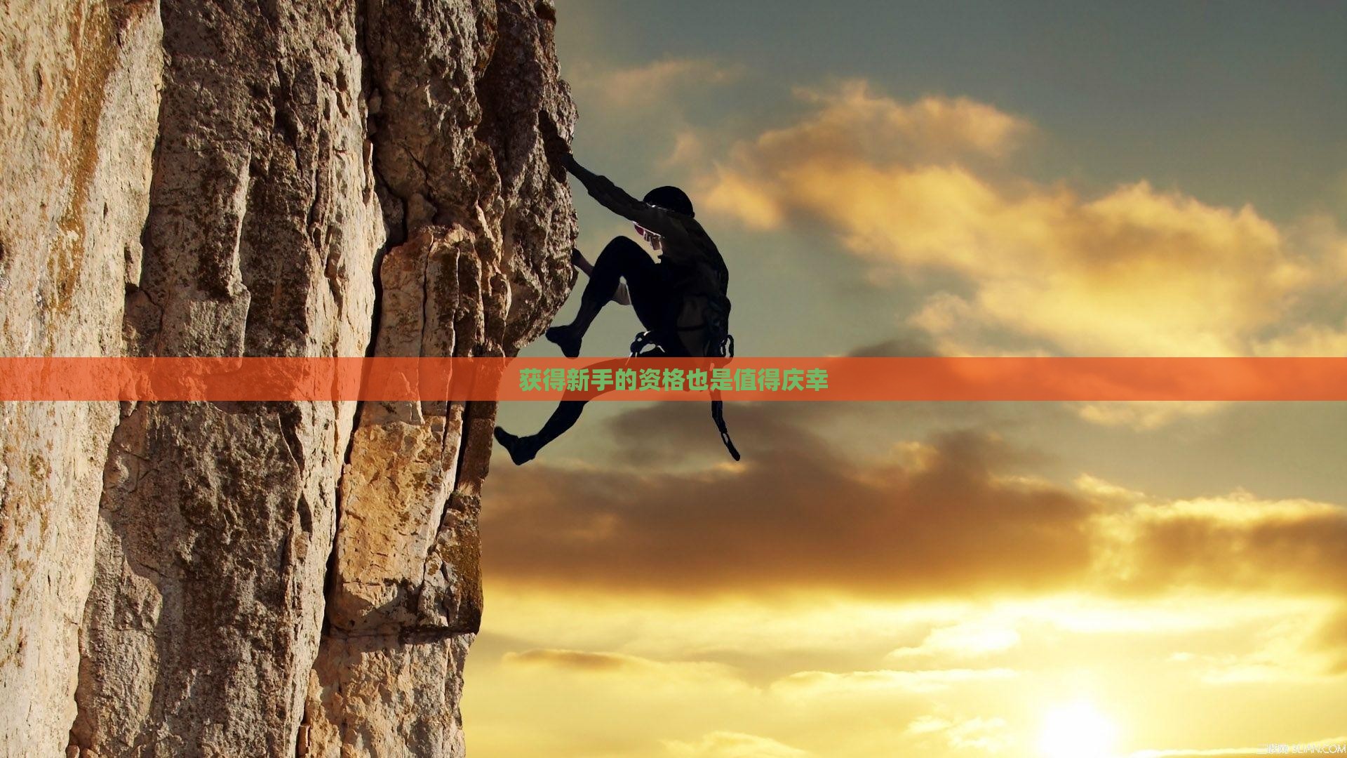 获得新手的资格也是值得庆幸