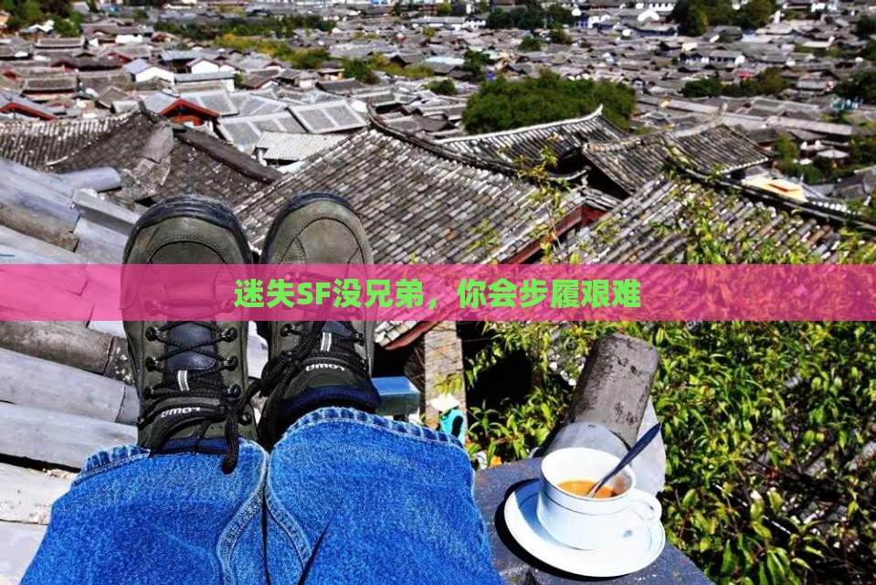 迷失SF没兄弟,你会步履艰难 迷失SF没兄弟,你会步履艰难