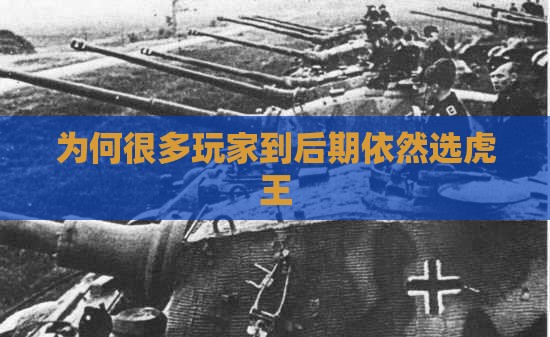 为何很多玩家到后期依然选虎王