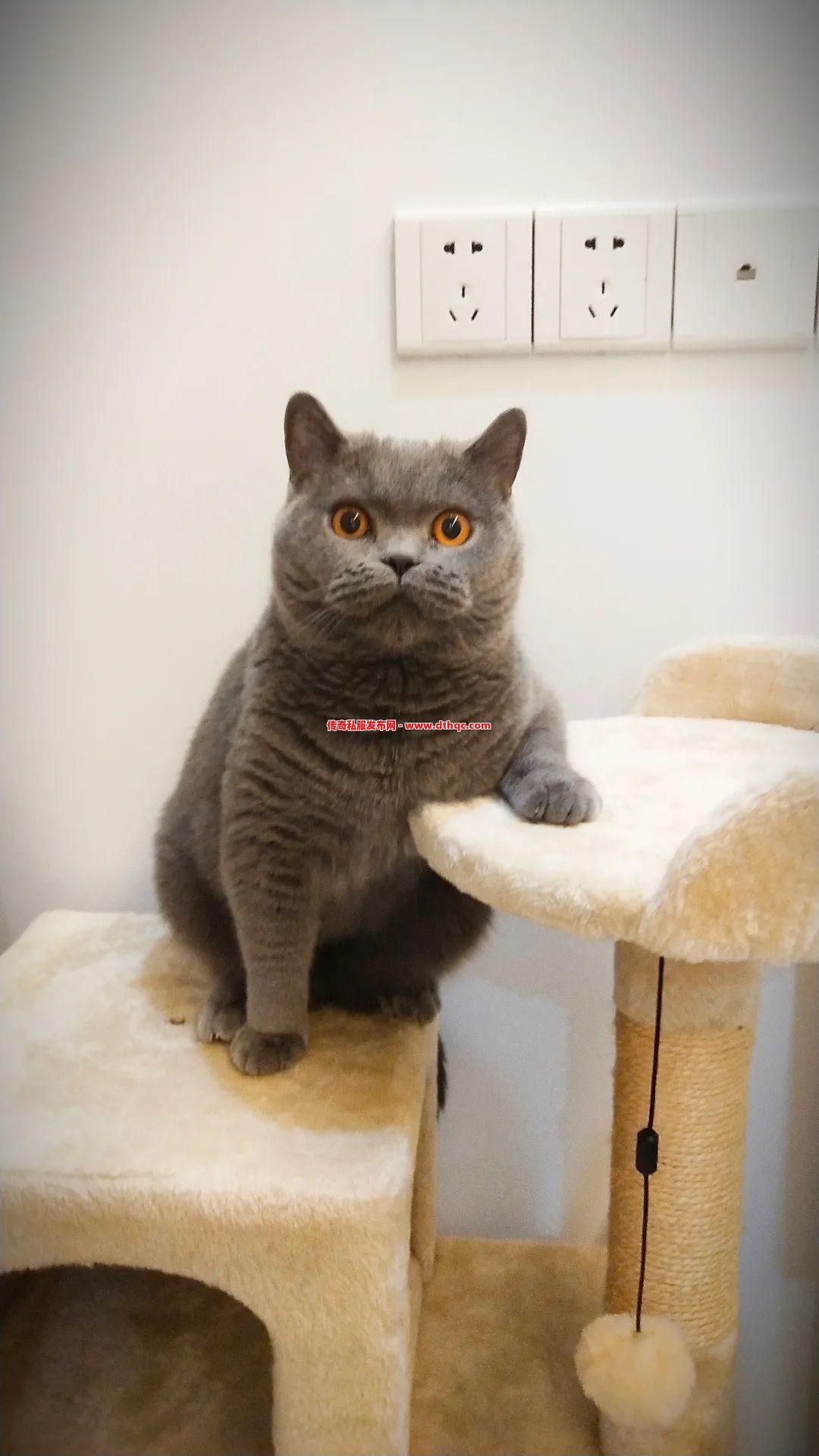 选对职业真能原地起飞？老玩家打死不说的小秘密！